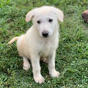 Meet your Posher, Olga